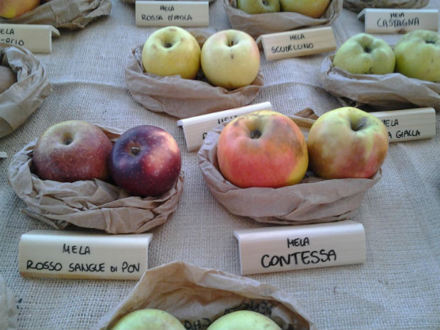 Le varietà di mela nostrane
