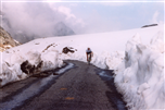 Ciclismo invernale Valle Grana